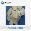 100% pure natural angelica extract powder with best quality and competitive price